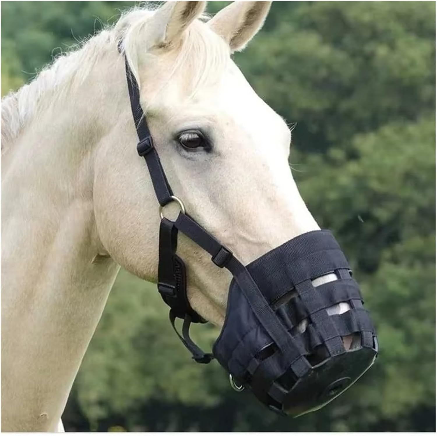 Horse Glazing Muzzle with Halter, Lightweight Chewing(Black M)