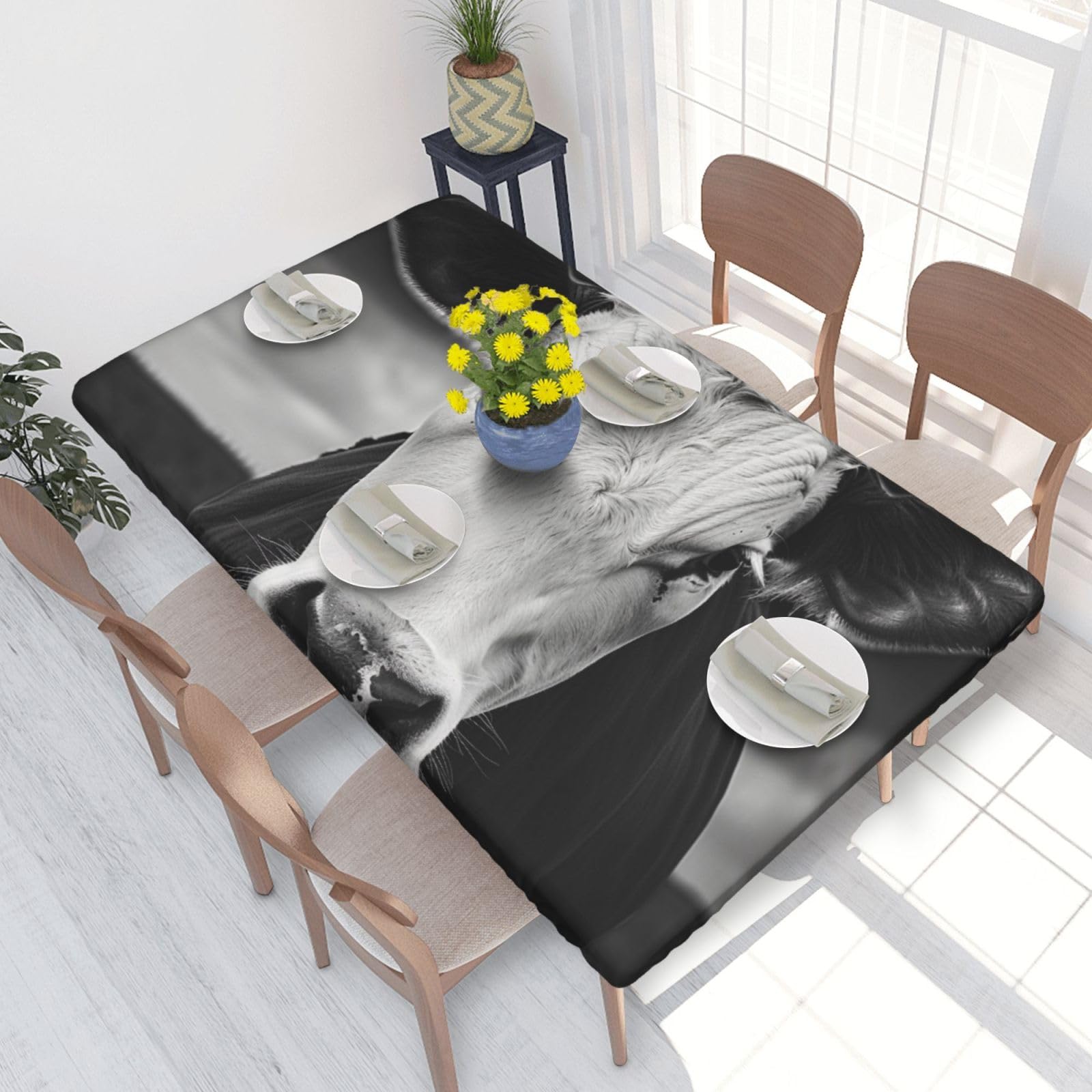 DCARSETCV Black and White Cow Printed 4FT Waterproof Tablecloth with Elastic Edged Protect & Decor Your Table, Oil-proof Washable Table Cloth Cover for Dinner Picnic Party