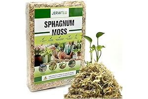 Natural Long Fiber Sphagnum Moss: Essential for Plant Health and Humidity