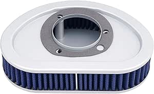 Road Passion Filtro Aria HD-9608 Per Harley Davidson Dyna E FLD Switchback | Sostituzione Carta