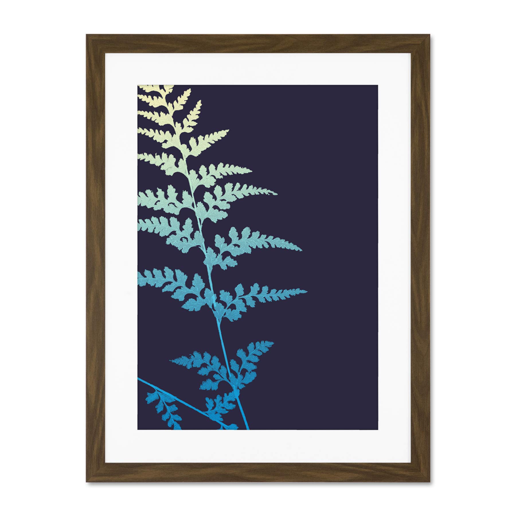 Wee Blue Coo Bright Fern Illustration Large Framed Art Print Wall Poster 18x24 inch