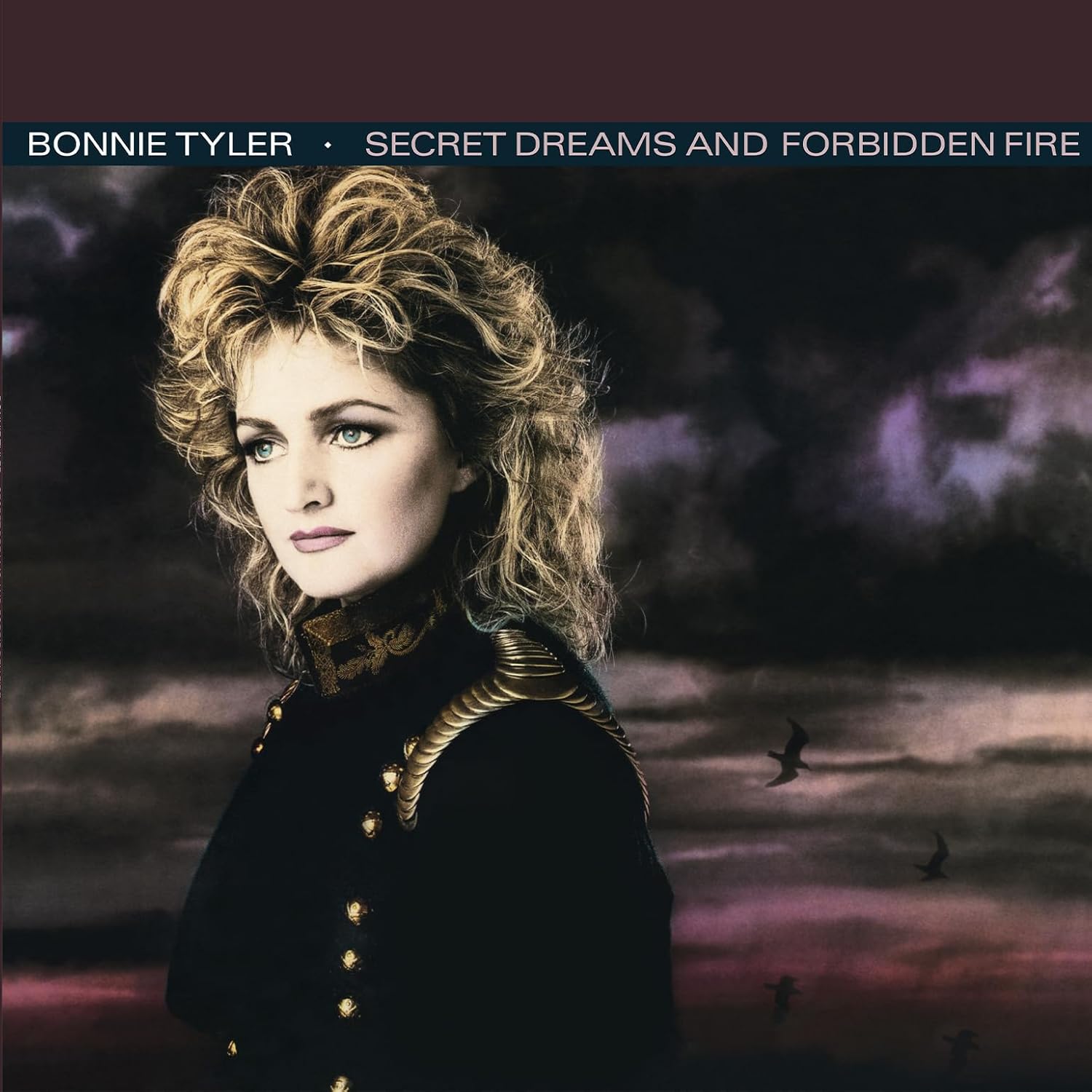 Secret Dreams & Forbidden Fire - Limited Crystal Clear & Black Marble by Bonnie Tyler — album cover