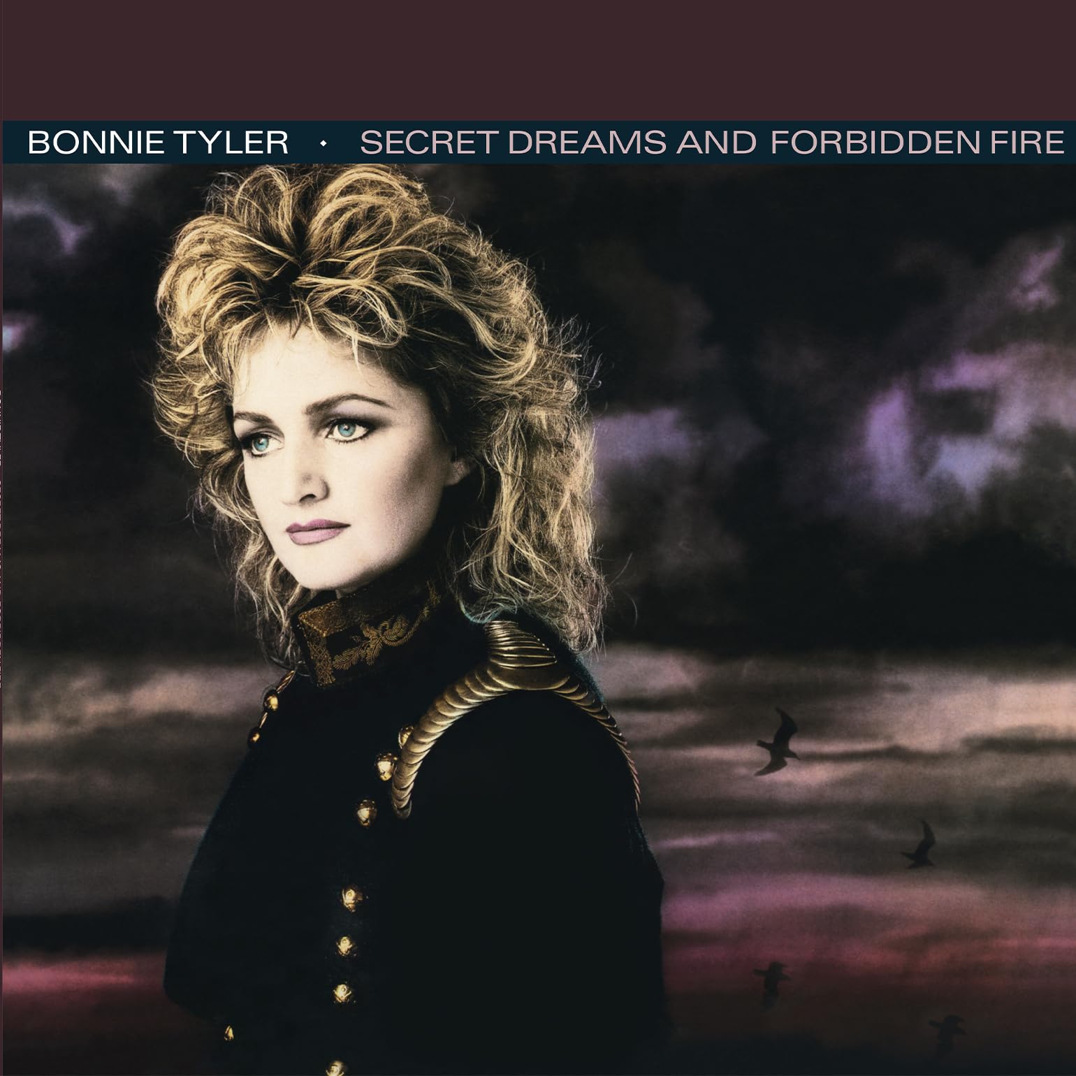 Secret Dreams And Forbidden Fire [VINYL]