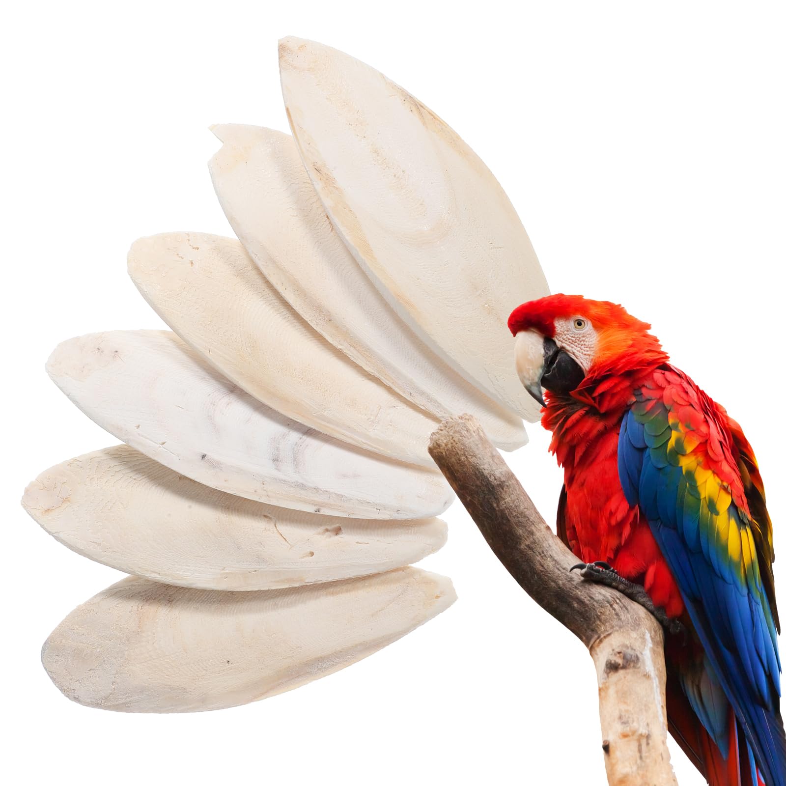 6 Pcs Bird Cuttlebone Chew Toy, Natural Bird Cuddle Bone Cuttlefish Bone for Parrot Cockatiel Budgie Tortoise Reptile Turtle Snails Parakeet Treats Supplies