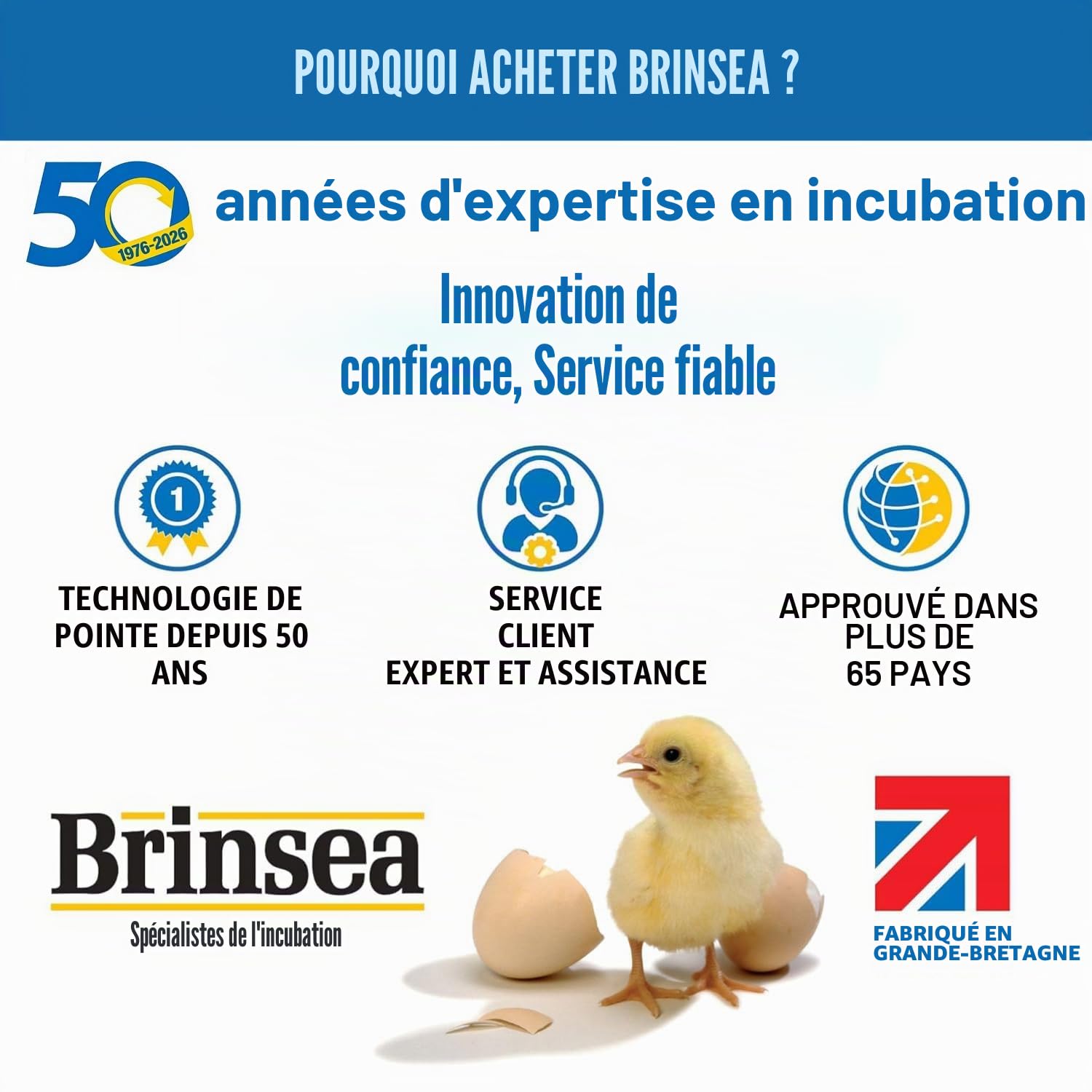 Brinsea Produits Maxi II Incubateurs à œufs Tapis d'éclosion Taille Unique