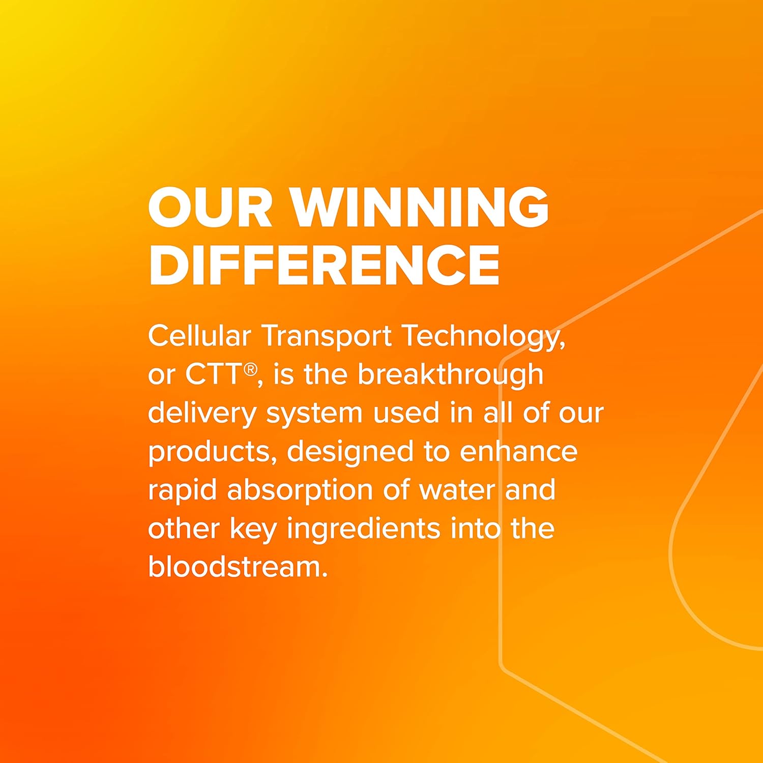 Liquid I.V. Hydration Multiplier + Immune Support, Easy Open Packets, Fresh Tangerine Flavor | 14 Sticks : Health & Household