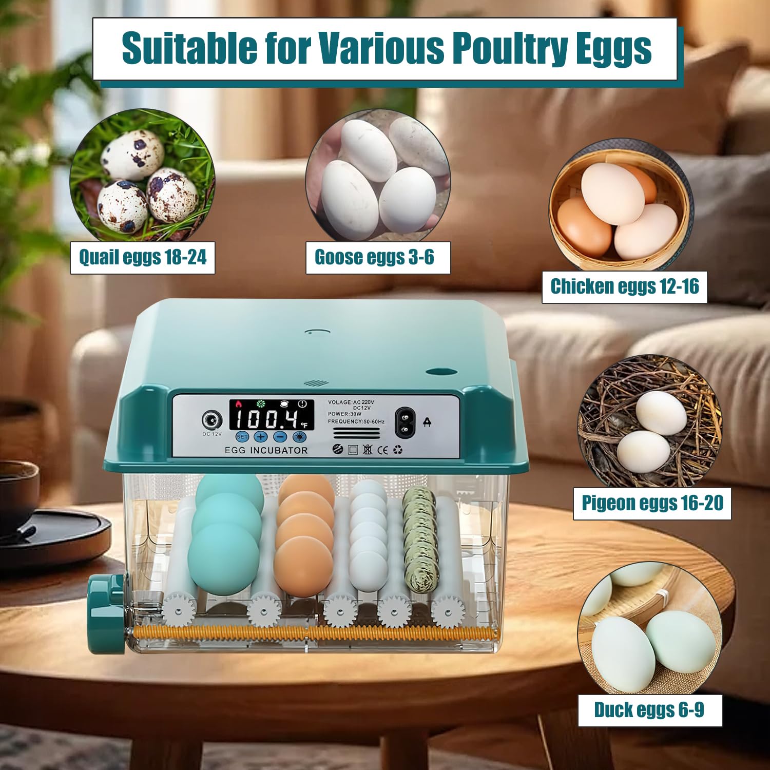 Incubadora de huevos automática, incubadora automática de huevos 12-16 huevos con volteo automático de huevos y humidificación automática, incubadora para huevos de gallina, codorniz, pato