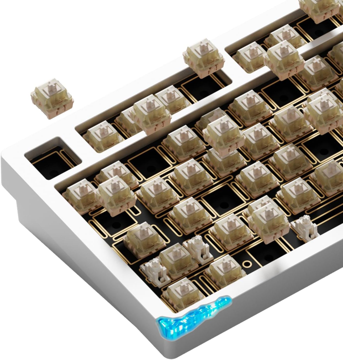 Close-up of hot-swappable mechanical switches on a keyboard
