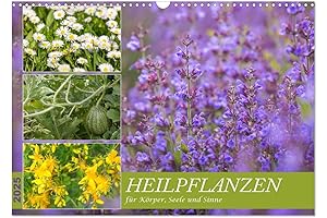 Heilpflanzen für Körper, Seele und Sinne (Wandkalender 2025 DIN A3 quer), CALVENDO Monatskalender