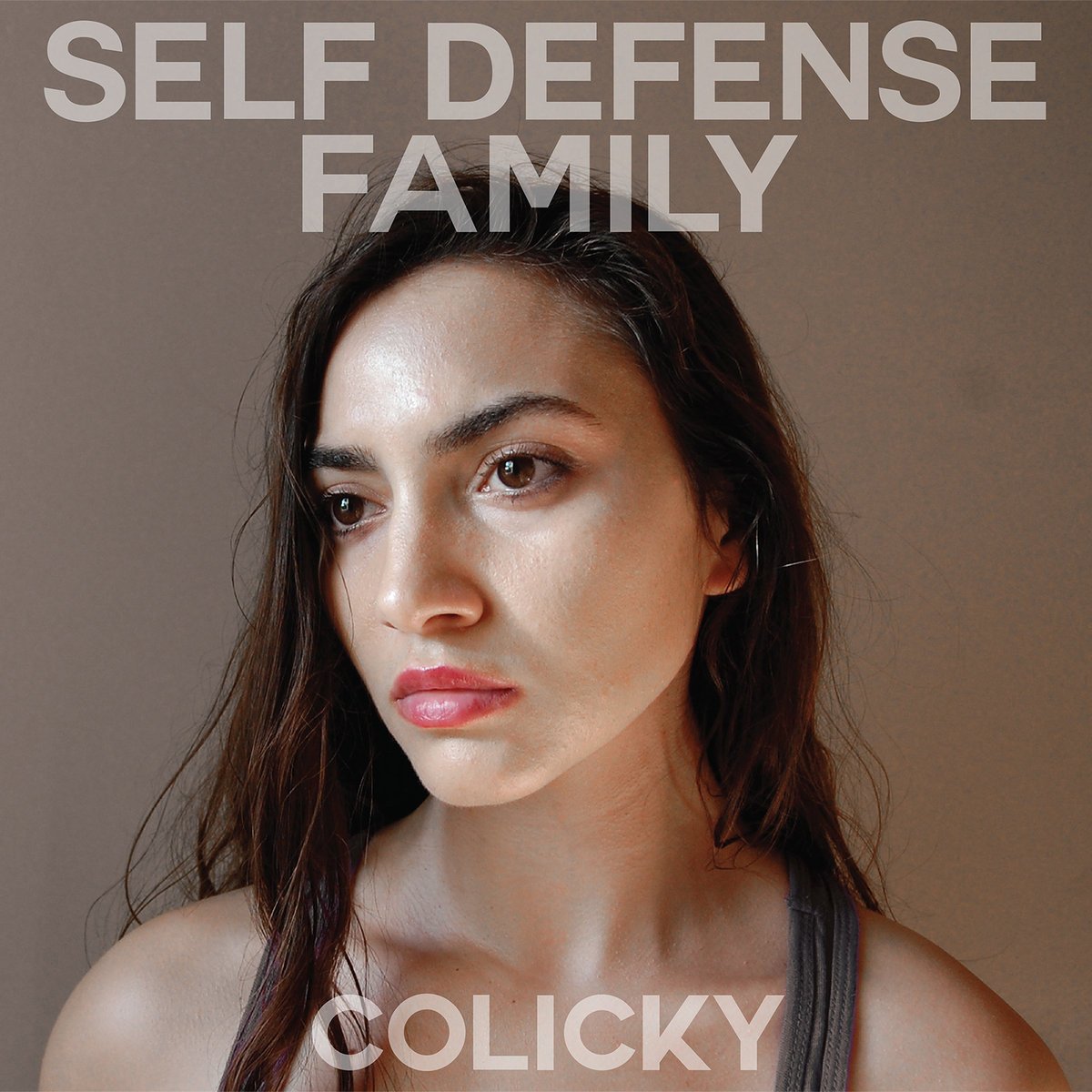 Colicky by Self Defense Family (Record, 2016) New and Sealed