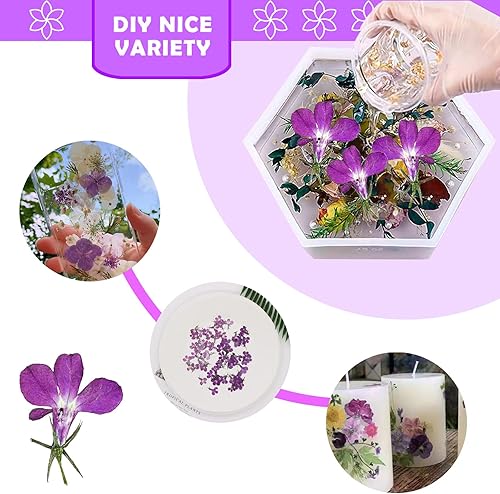 Miniatura 4 de CyHiThai Flores secas moradas para adornos de manualidades de resina, 60 flores secas prensadas naturales para joyería de resina, decoración de caja