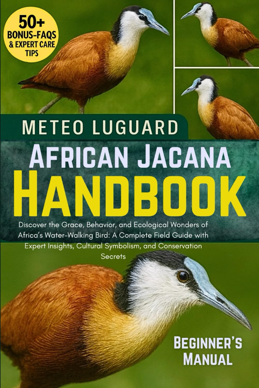 AFRICAN JACANA HANDBOOK: Discover the Grace, Behavior, and Ecological Wonders of Africa’s Water-Walking Bird: A Complete Field Guide with Expert Insights, Cultural Symbolism, and Conservation Secrets