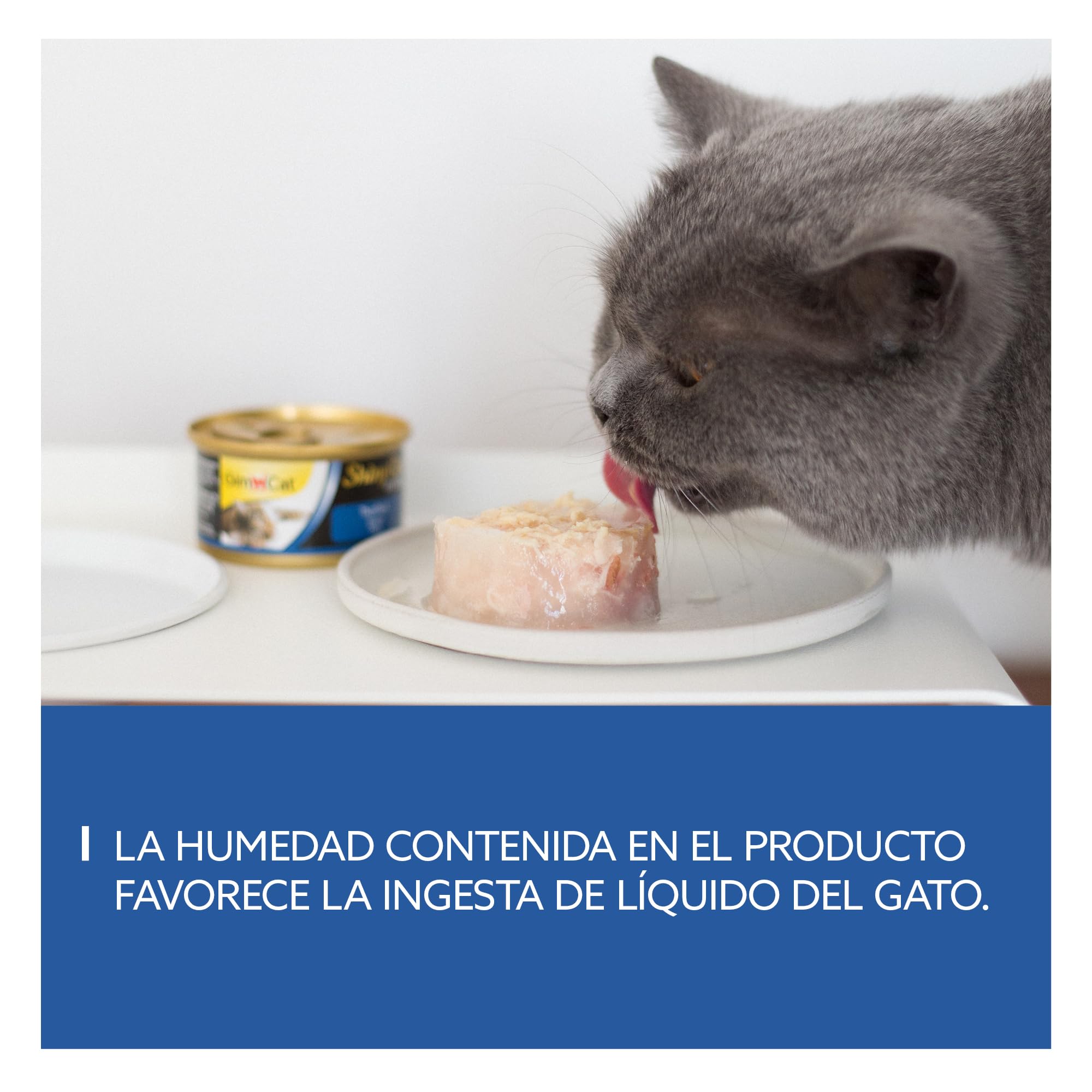 GimCat ShinyCat in Jelly, atún - Alimento húmedo para gatos, con pescado y taurina - 48 latas (48 x 70 g)