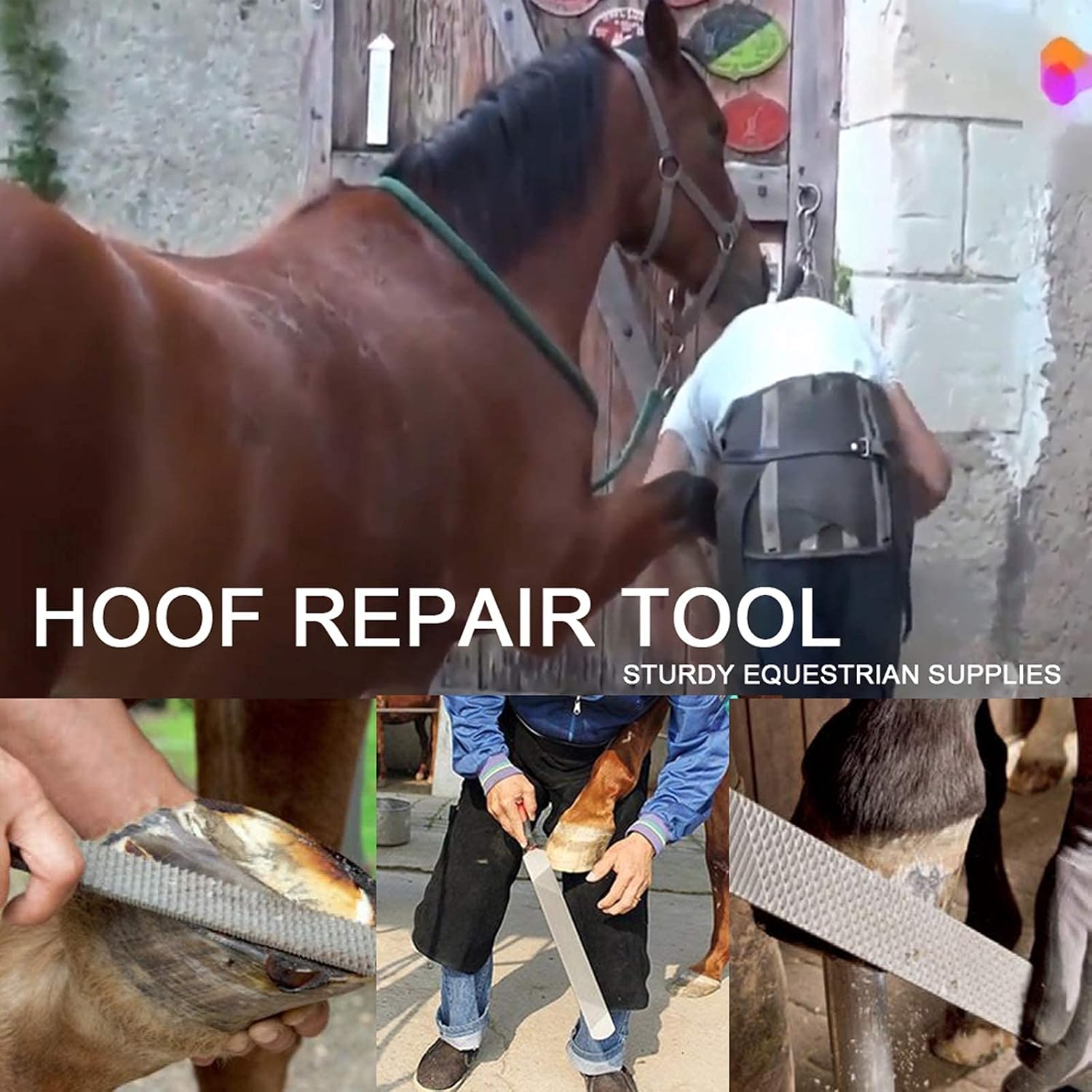 UJD Farrier Tools Professional Farrier Tool Kits Hoof Rasp Hoof Nippers Hoof Knife Horses Hoof Trimmers Tools Suitable for Hoof Trimming for Horses/Donkeys Rasp Hoof Cutter Set : Pet Supplies