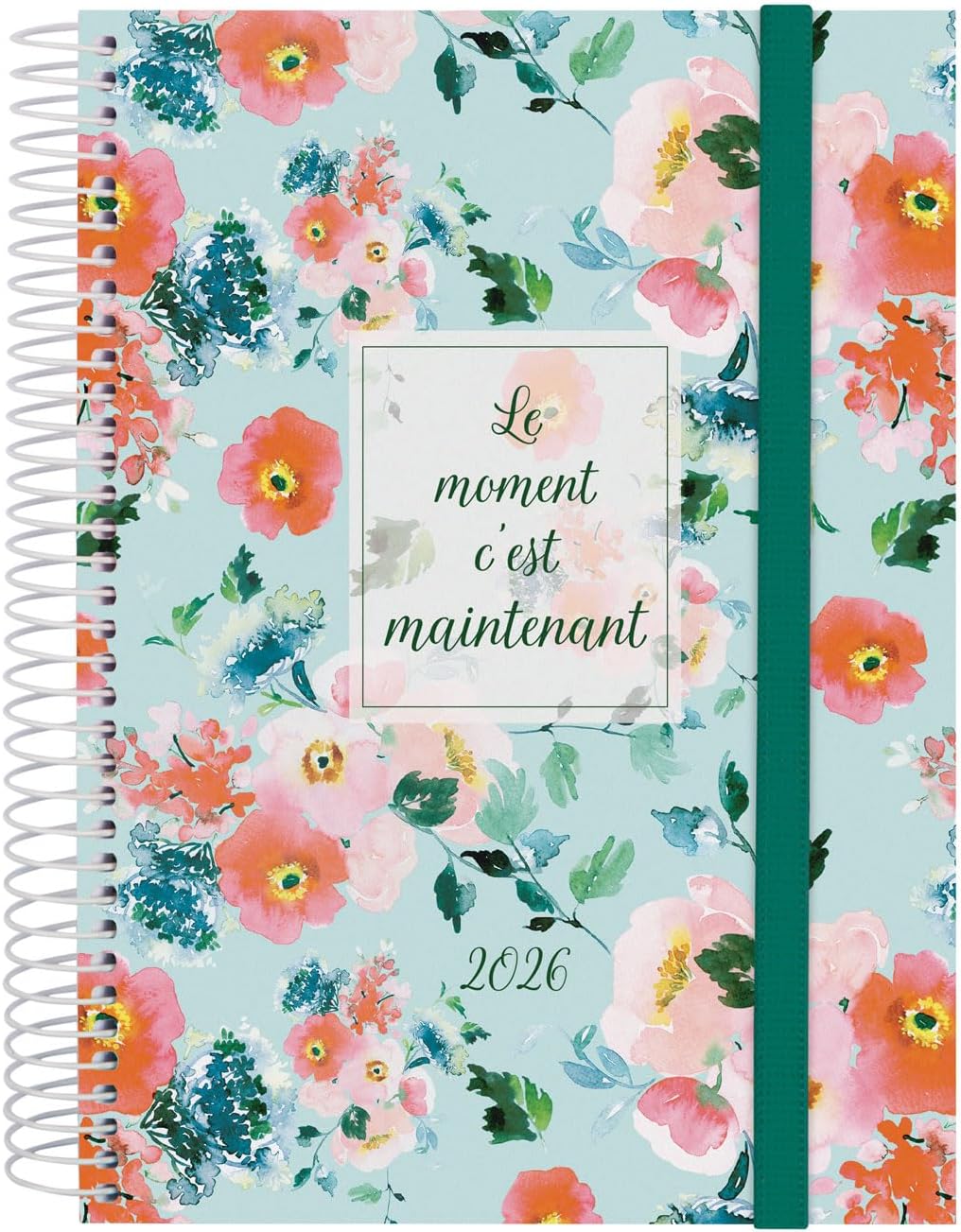Finocam Spiral Calendar 2026, Day to a Page | January - December (12 Months) | 2026 Year Planner with Elastic Band | Polypropylene Cover Spiral Binding Design Collection - Now - French