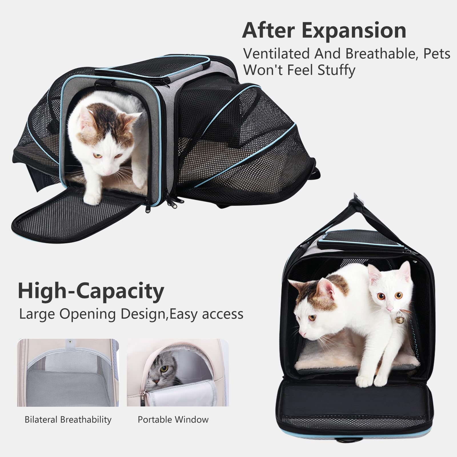 PETCUTE Transportín Gato Perro Extensible, Bolsa de Transportar Mascotas, Aprobado por aerolínea,Plegable Transportín Perro Pequeño con Colchón Suave y Hebilla de Seguridad,para Coche, Avión, Viaje