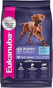 10 Best Large Breed Puppy Foods 6 71EqqfVB02L. AC SL300