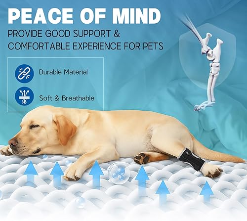 Miniatura 7 de Supet Soporte de pierna de perro para pierna trasera, soporte de articulación de horquilla y tobillo para patas traseras con 2 resortes de metal,