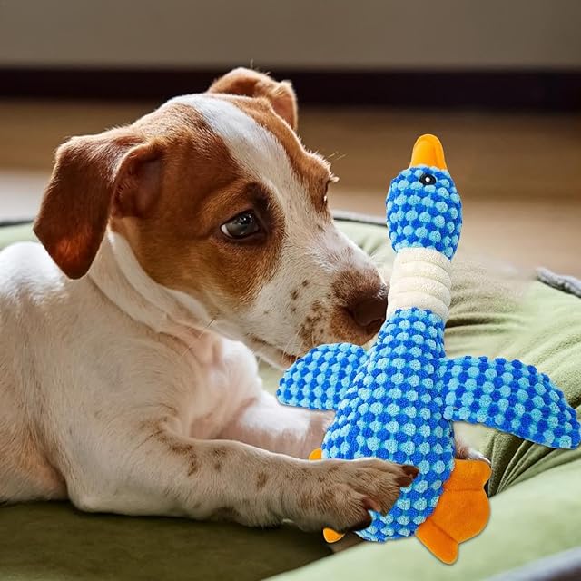Foto 3 de 8 de Teksome para la dentición del Perro, para Perros de Peluche - masticable Interactivo para Perros