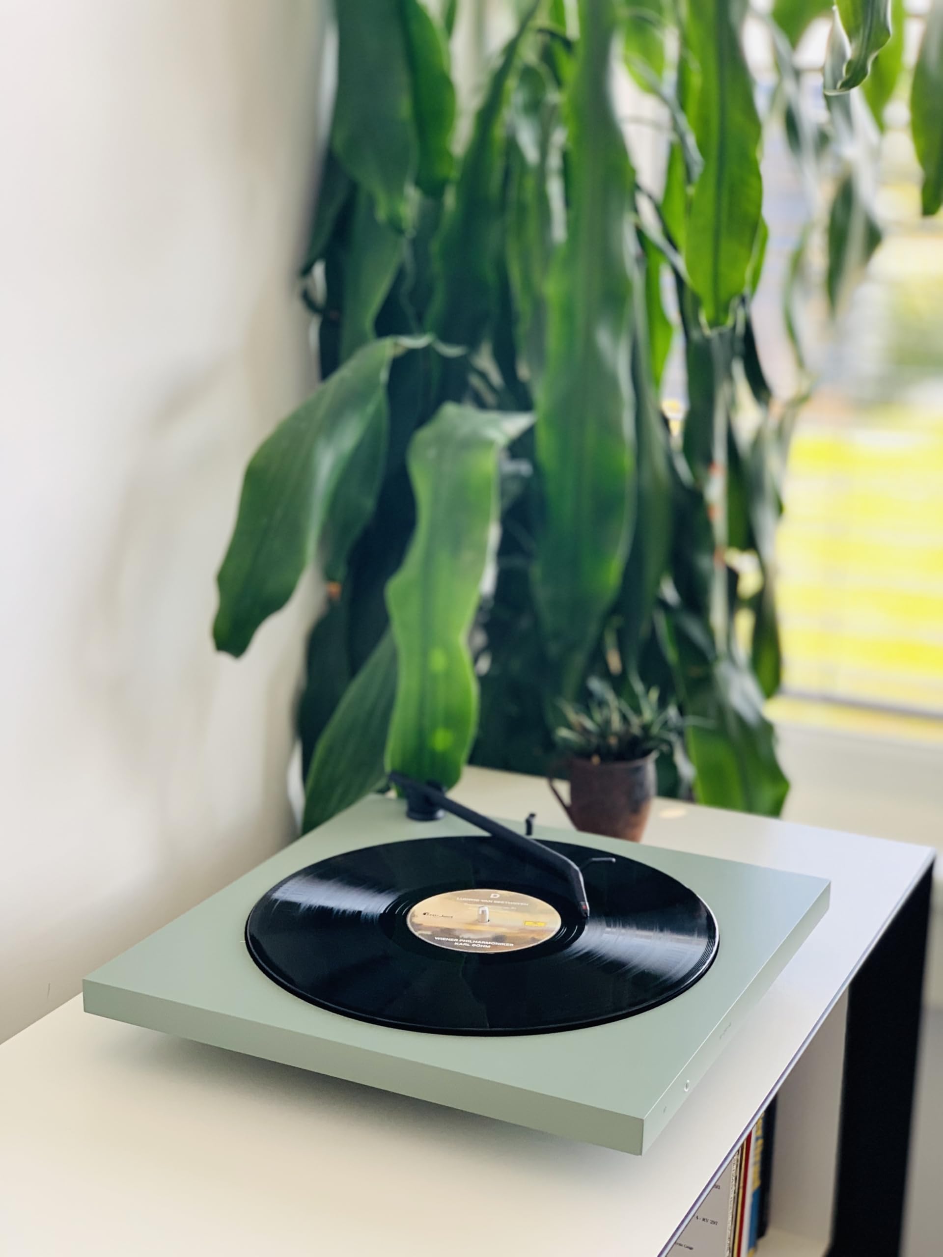 Tone Turntable – Minimalistischer Plattenspieler mit Bluetooth, eingebautem Phono-Vorverstärker, hochwertigem Tonarm, Riemenantrieb, Tone Factory - Made in Europe (Grün)