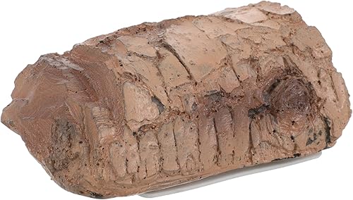 EXCEART Ocultadores de llaves de repuesto de imitación, caja de bloqueo de piedra de simulación, ocultadores de llaves para exteriores, decoración