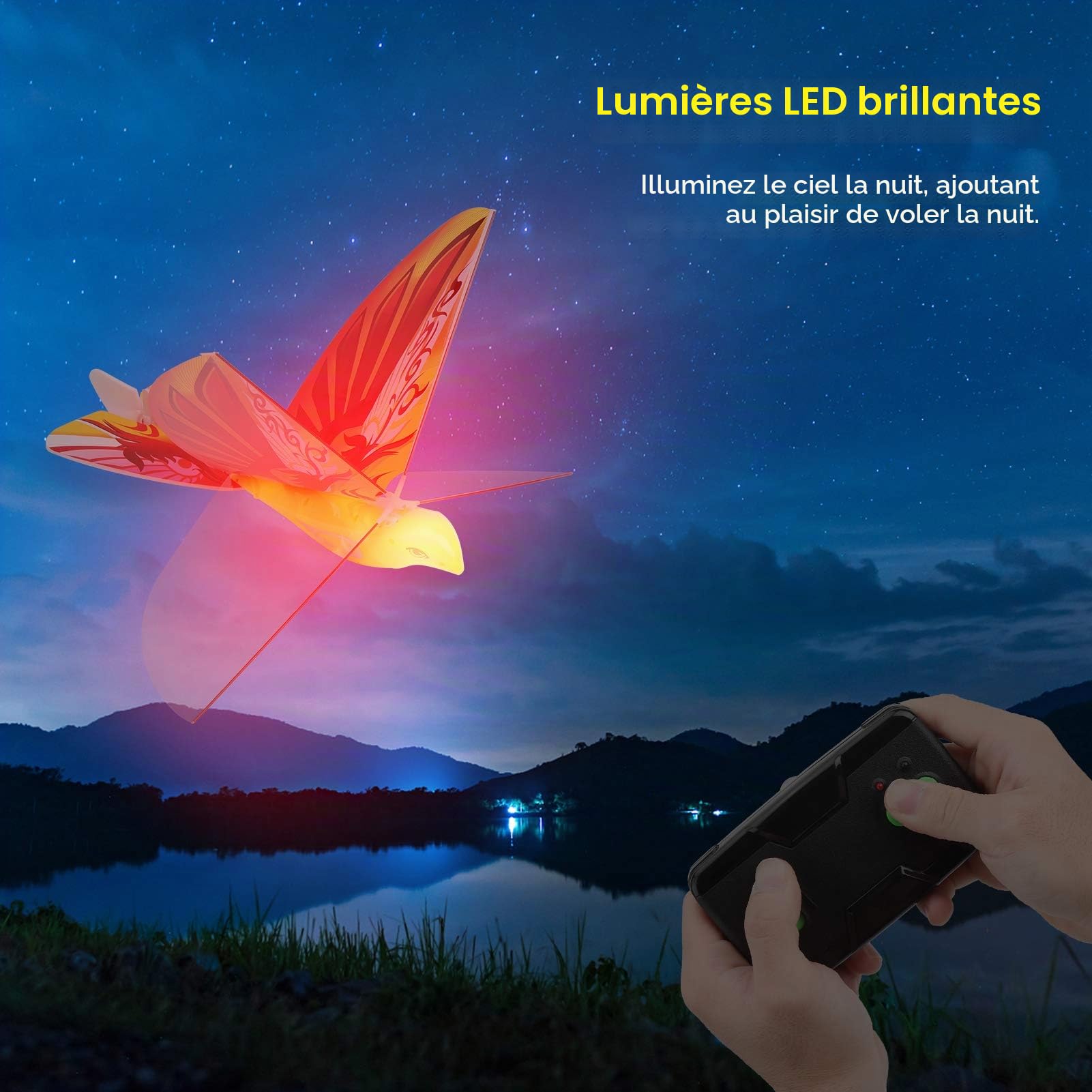 Dilwe RC Oiseau Volant Télécommandé, LED, 2,4 GHz, INCL.télécommande, Batterie, Câble de Charge, E-Bird pour Enfants Jouets pour Enfants (Orange)