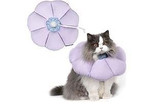 Adjustable E Collar for Kitten