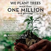 Vista 6 de Spaceship Earth 2024 Wall Calendar The Overview Effect 12" x 24" Open Amber Lotus Publishing