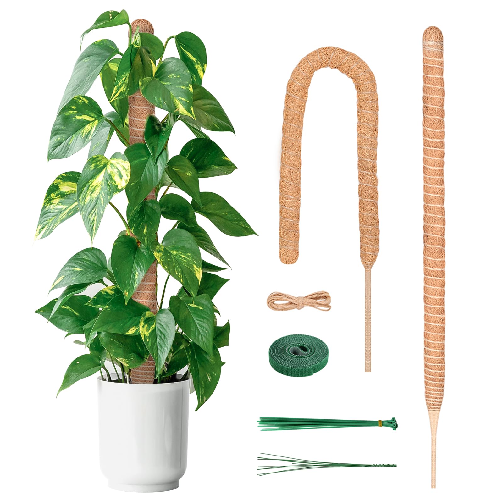 YAUNGEL Moss Pole, 2 Pcs 120CM Coir Totem Pole Moss Stick with 20M Twist Ties