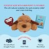 SmartPetLove Snuggle Puppy Action Aid Toy, Biscuit 12x6x3 Biscuit