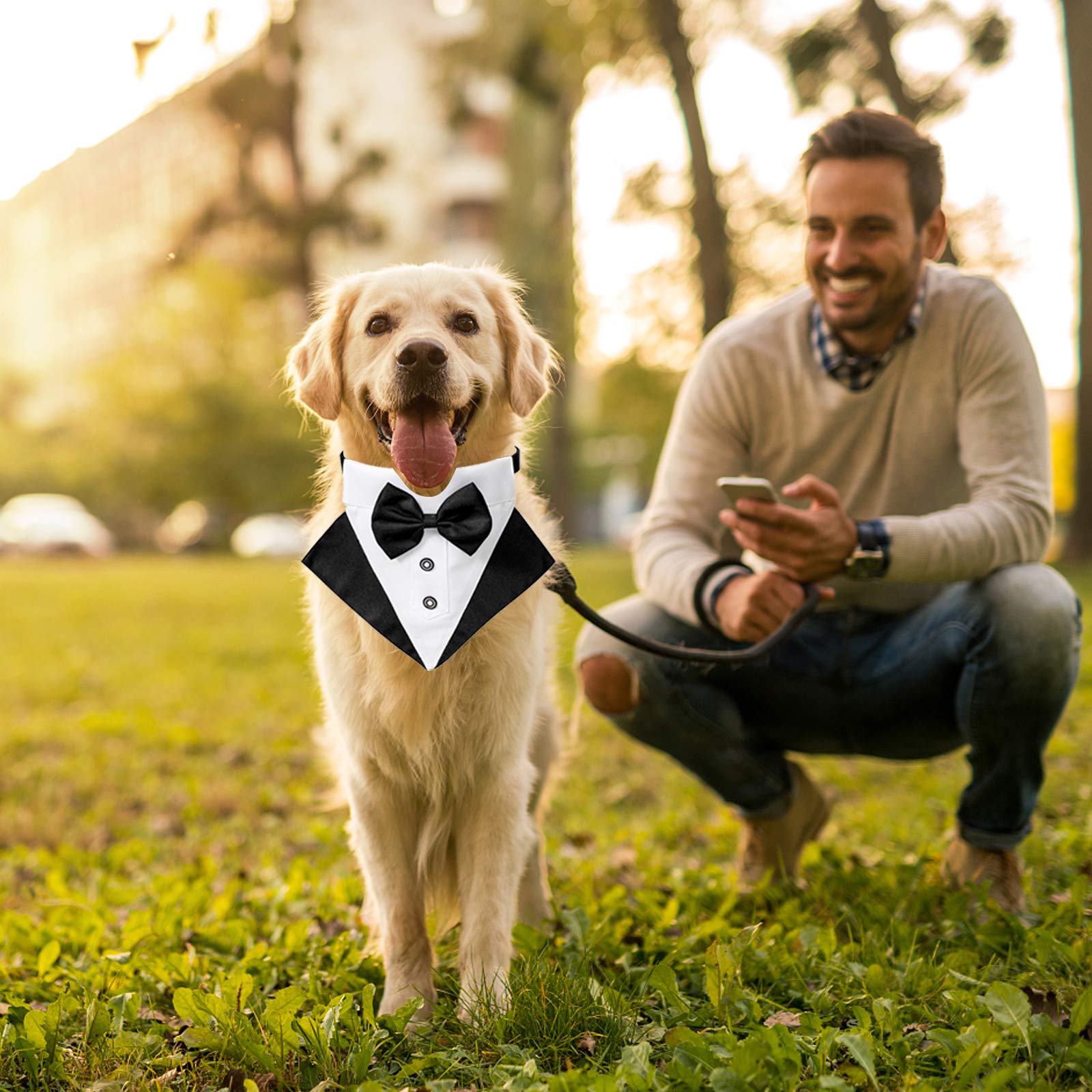 WANDIC Bandana Collare Smoking per Cani Regolabile 1 Pezzo Formale Matrimonio