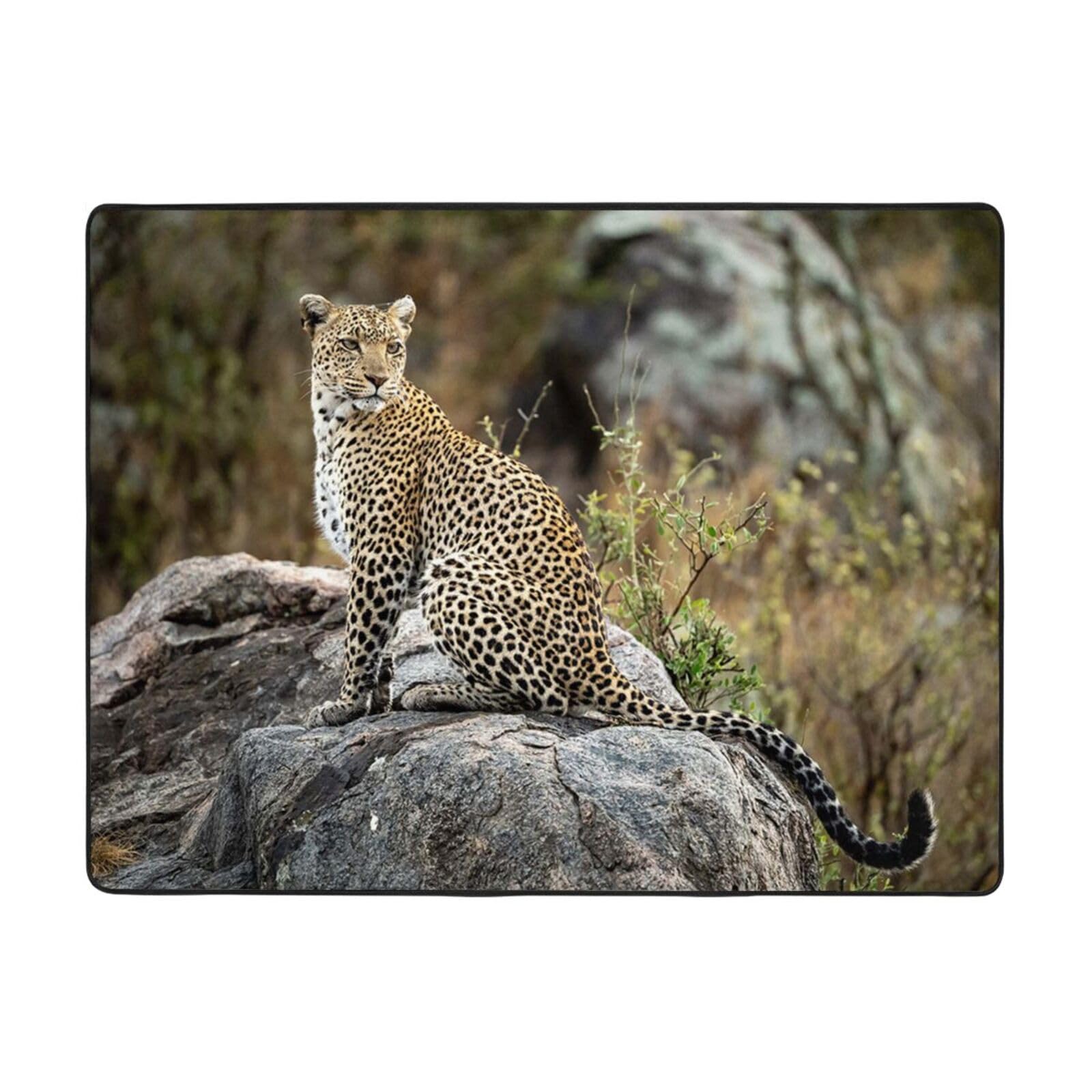 Tapis de salon guépard 160x122 cm lavable en flanelle douce pour chambre