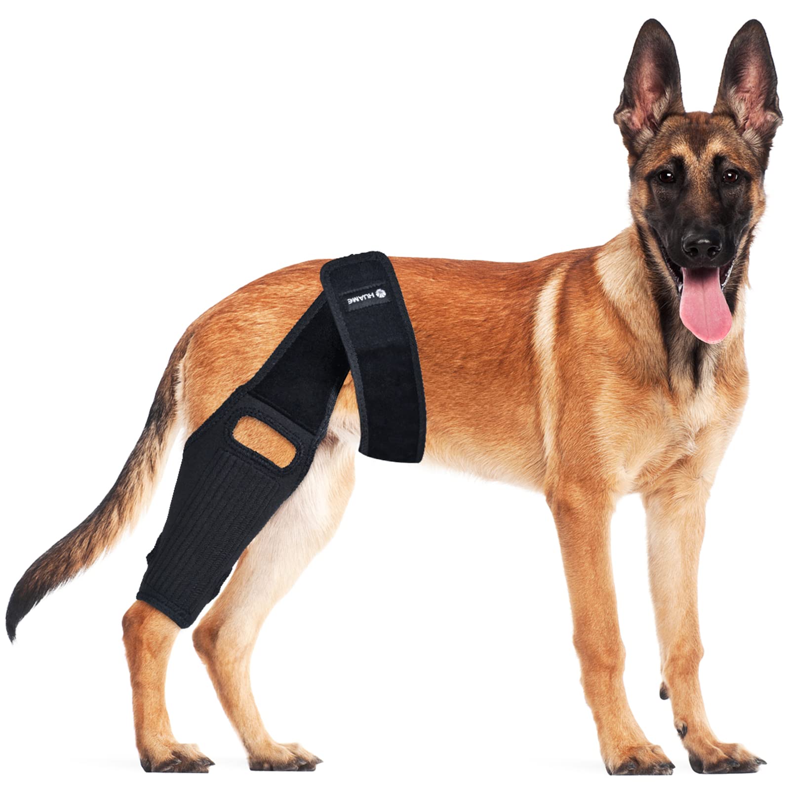 HUAME Dog Knee Brace