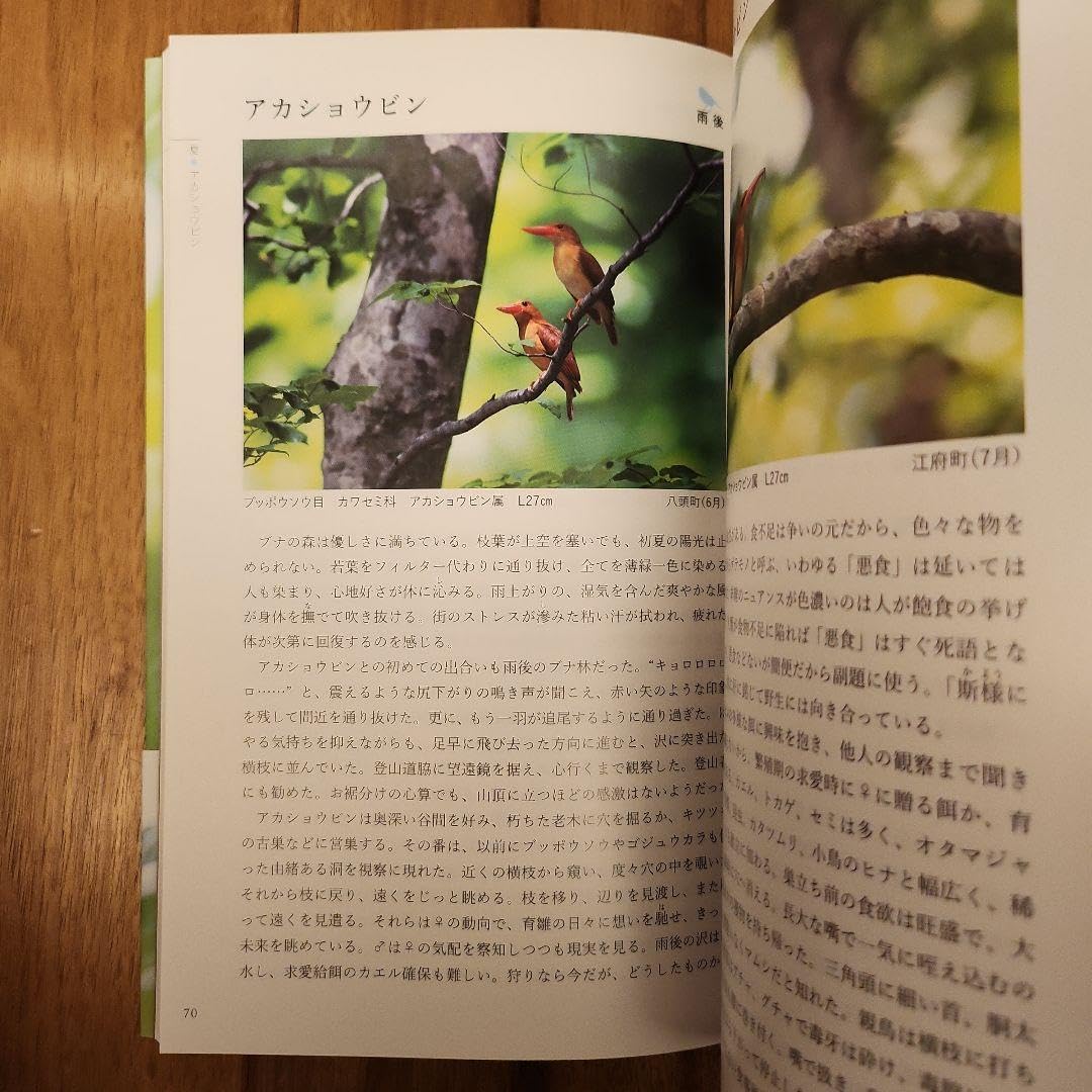 Amazon.co.jp: 鳥好きの独り言 : Office Products