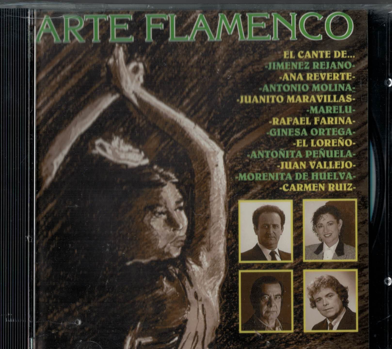 Arte Flamenco