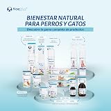 Ver la foto 2