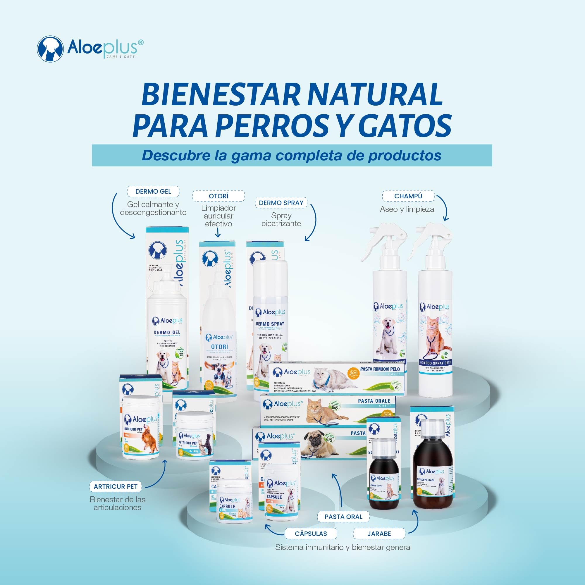ALOEPLUS Gatos Jarabe 100ml - Complemento Alimenticio Energético y Desintoxicante con Aloe Arborescens Bio, Refuerza Las Defensas Naturales, Ideal como Reconstituyente para Gatos Mayores y Cachorros