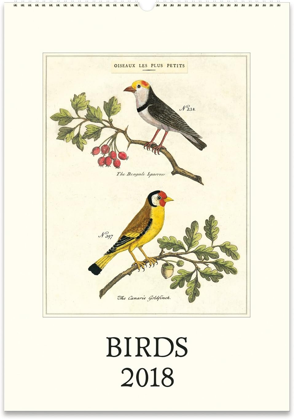 Cavallini Papers 2018 Birds Wall Calendar