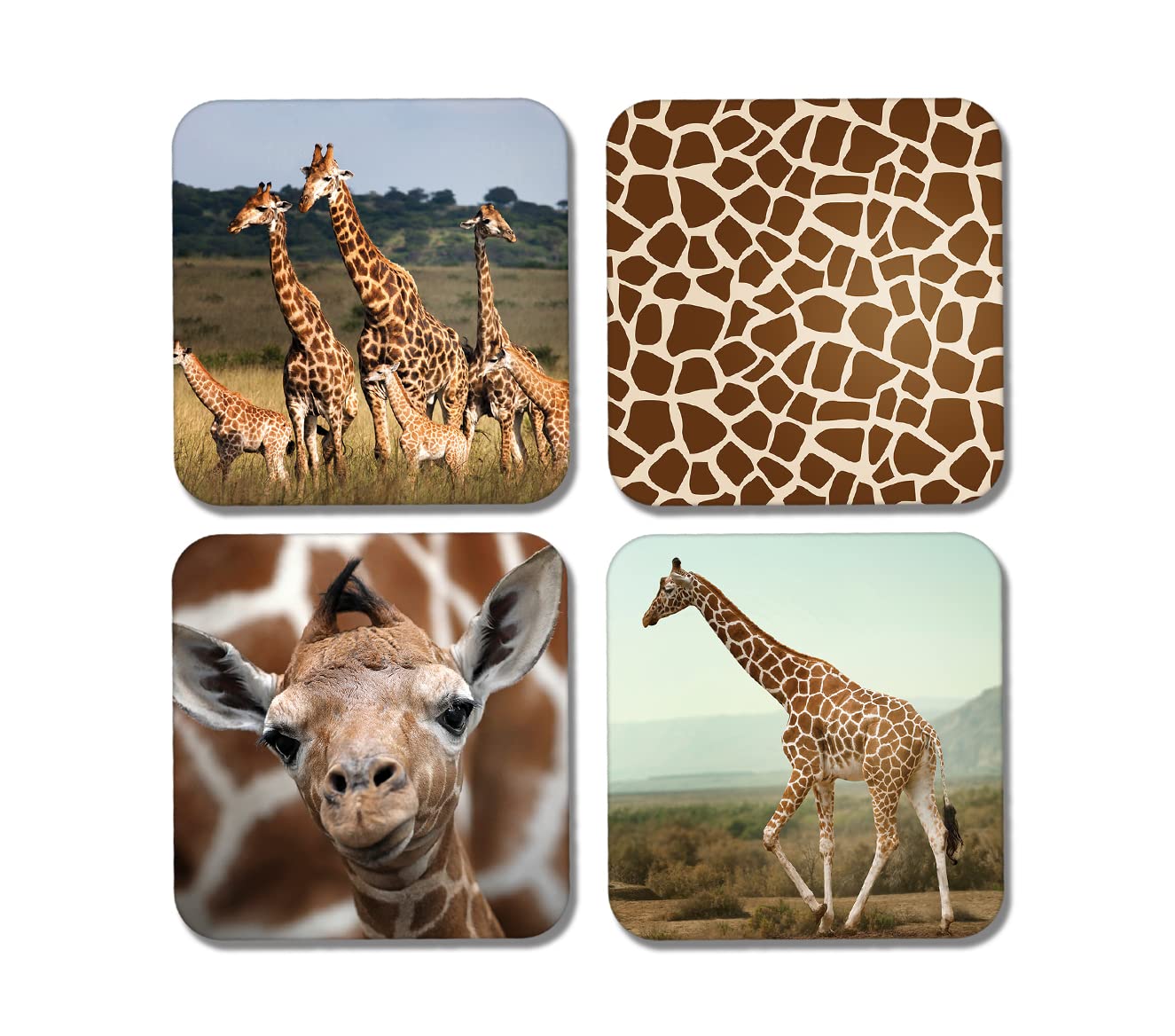 Dv Design Multicolor 4 X Square Giraffe Coasters - Print Pattern Animals Safari Giraffes Gift #77933