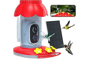 Hummingbird Feeder with Camera: Capture Bird Wonders Solar-Powered