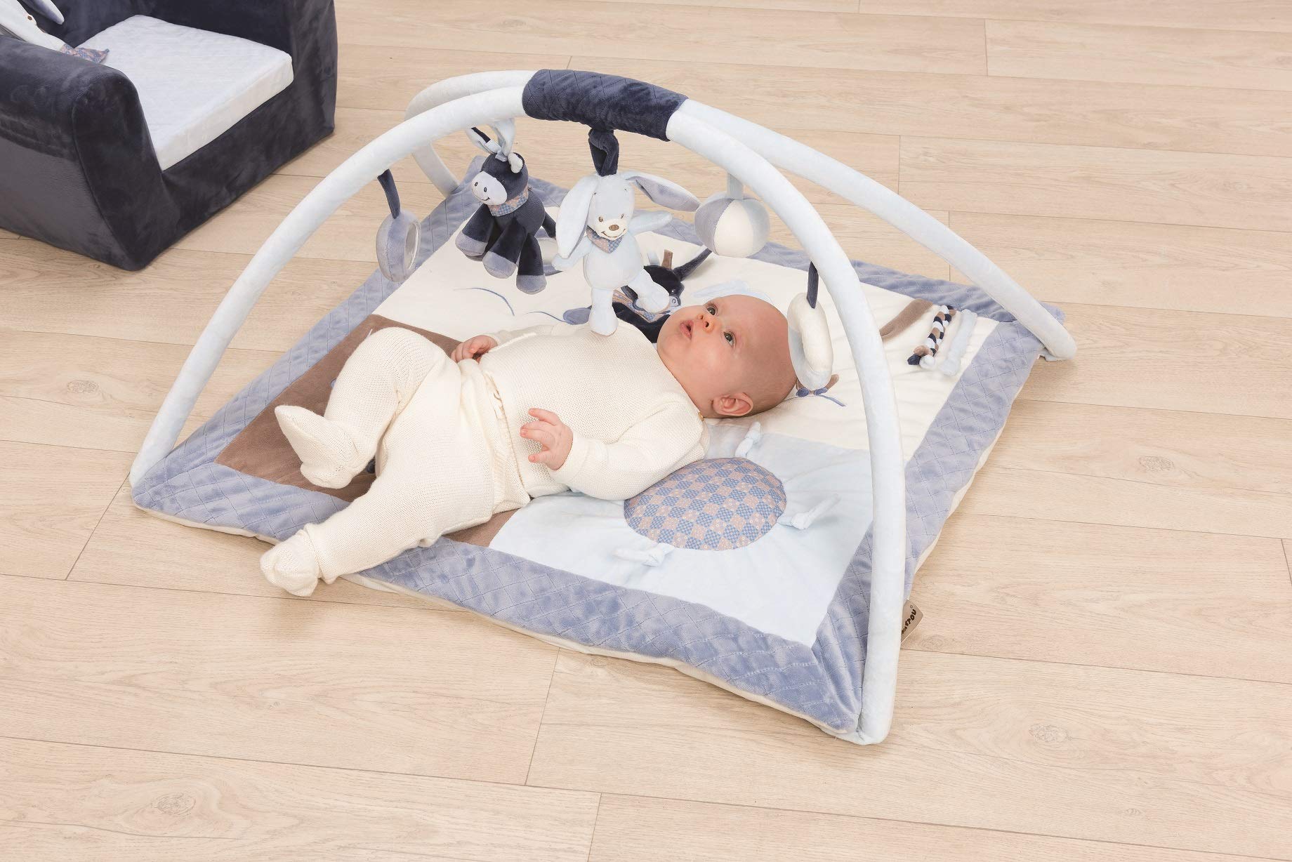 Nattou NA321242 - Gimnasio, 55 x 45 x 24 cm