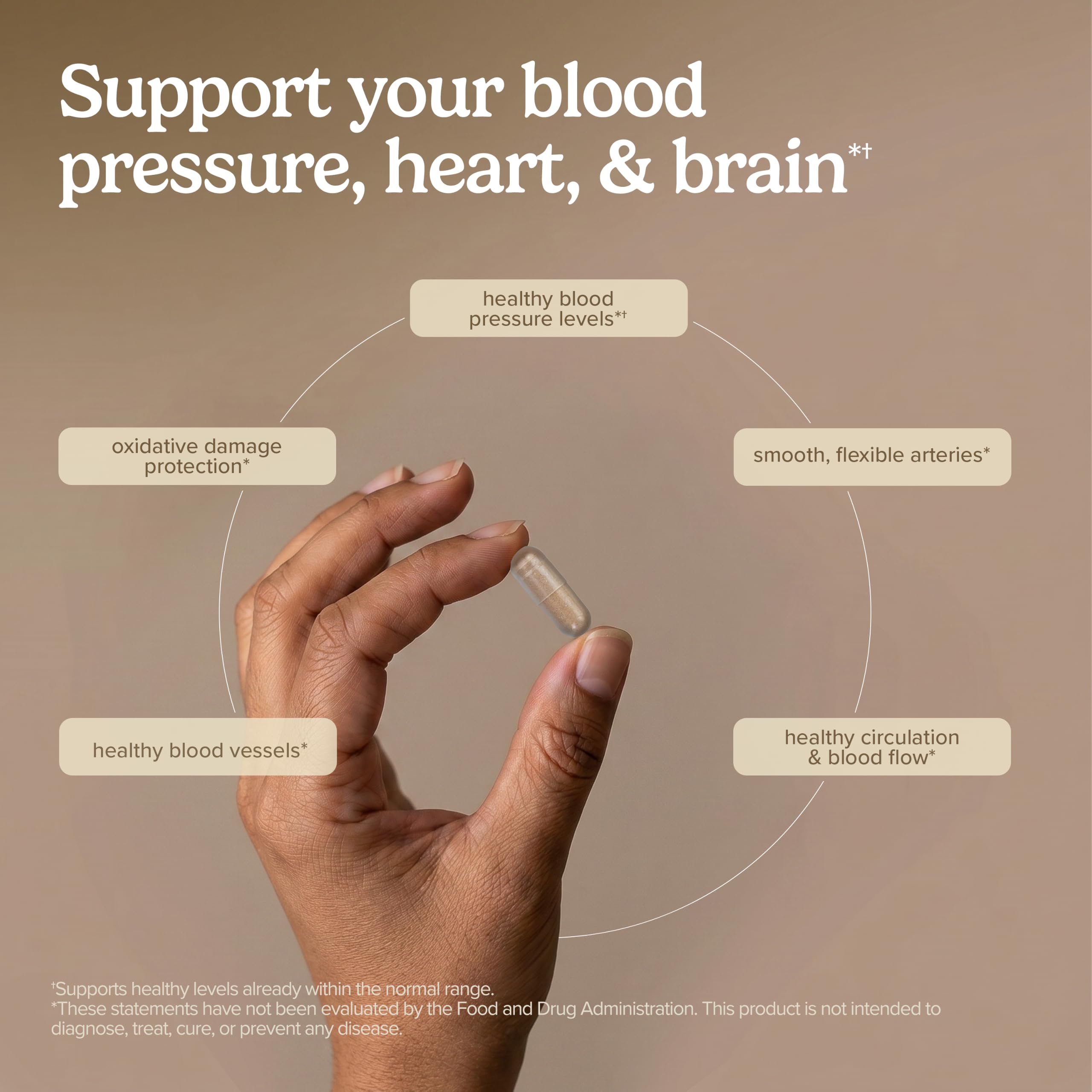 Terry Naturally Blood Pressure Health - Heart Support - 60 Count — Amazon image 4