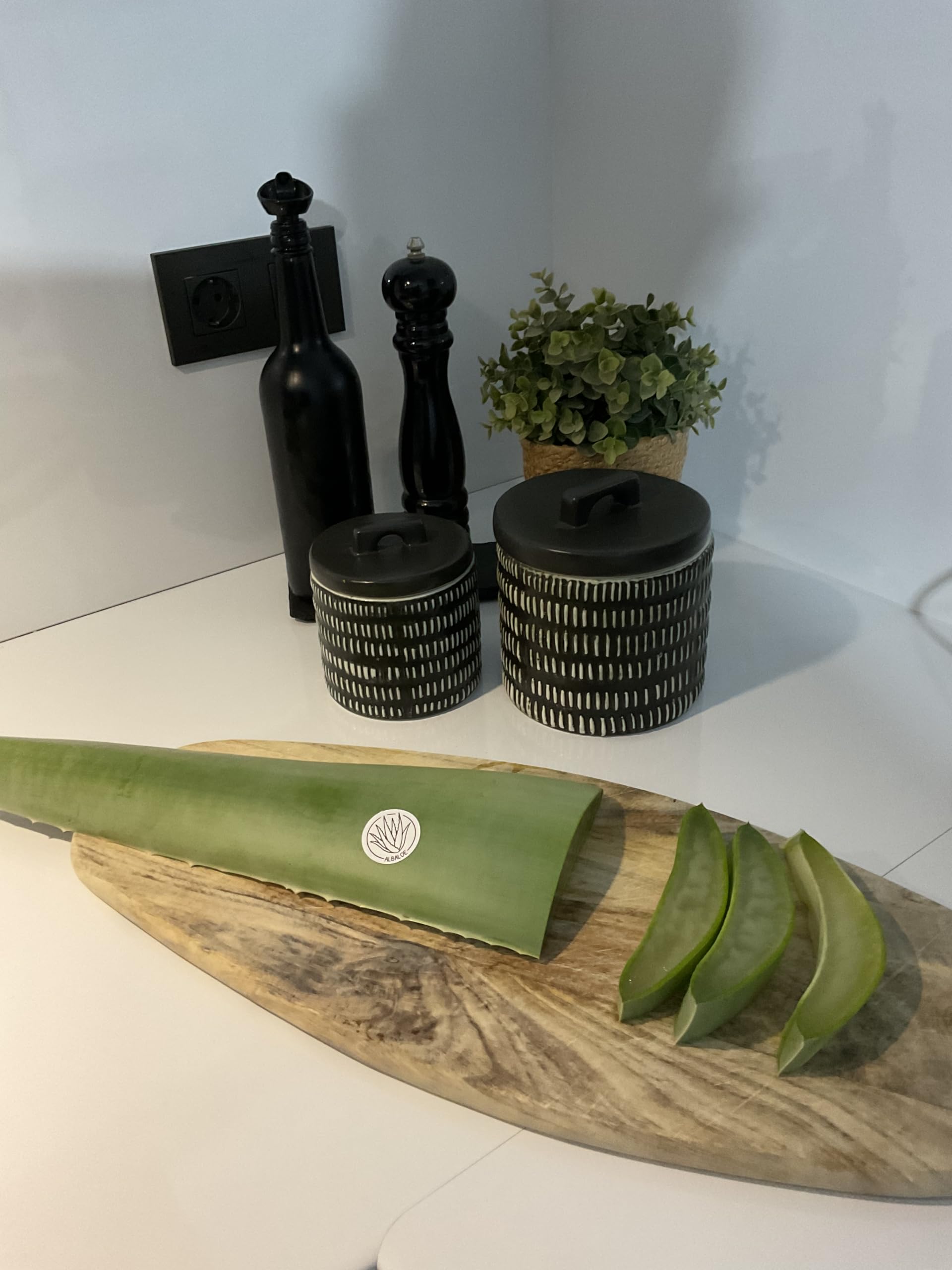 Hoja de Aloe Vera Fresca Natural Gel Ecologico certificado (3)