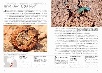 トカゲ大全 LIZARDS OF THE WORLD | マーク・オシー, 冨水 明