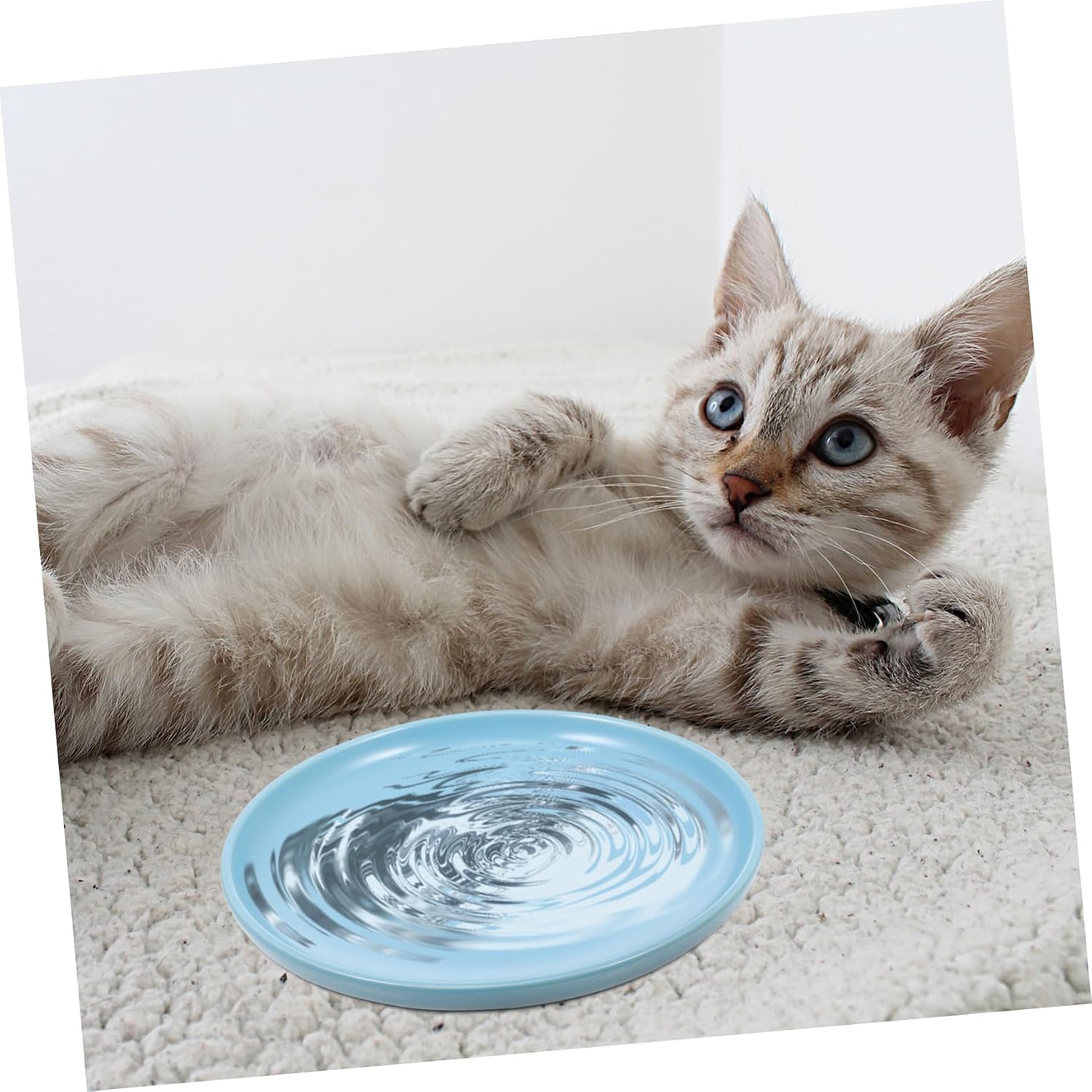 Ceramic Cat Bowl for Cats Protective Shallow Dish Household Use image 3