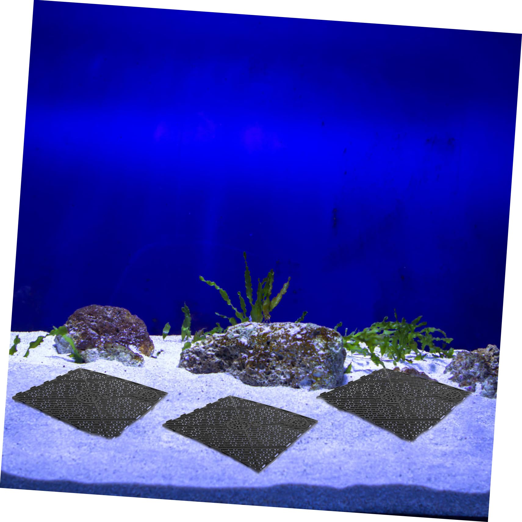 Alipis 20 Stück PVC Bodenfilterplatten Schwarz mit Verbindungs und Klappenbodenfilter Kombination für Meerwasserfische und Große Drachenfische zur Aquarienzucht