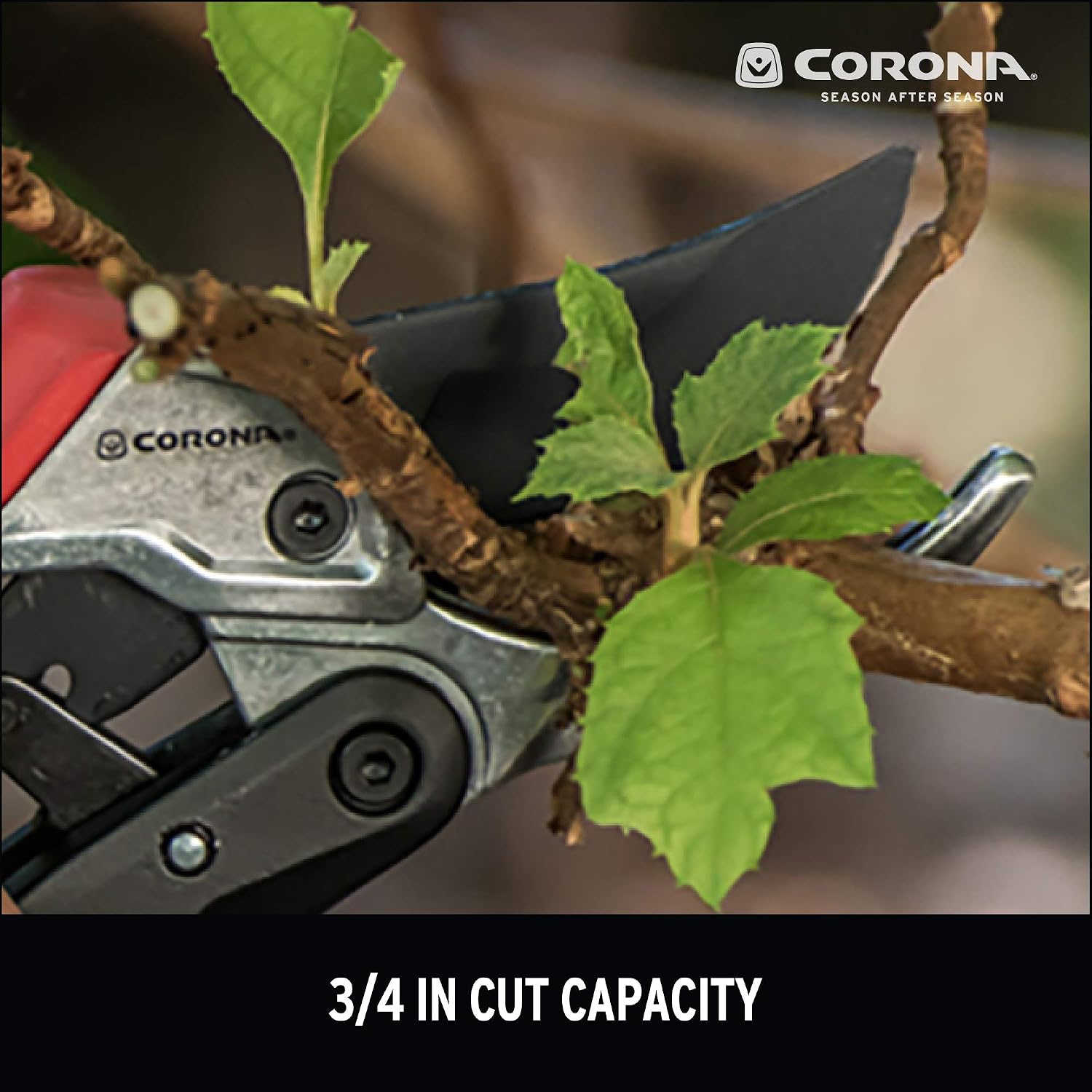 Corona RatchetCUT Pruner cutting a 3/4 inch branch