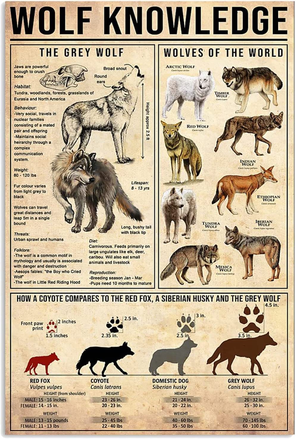 Metal Decoration for Wall Antique Metal Sign Wolf Knowledge Tin Sign Vintage Decoration Garage Home Garden Cafes Kitchen Wall Tin Signs 8x12 inch