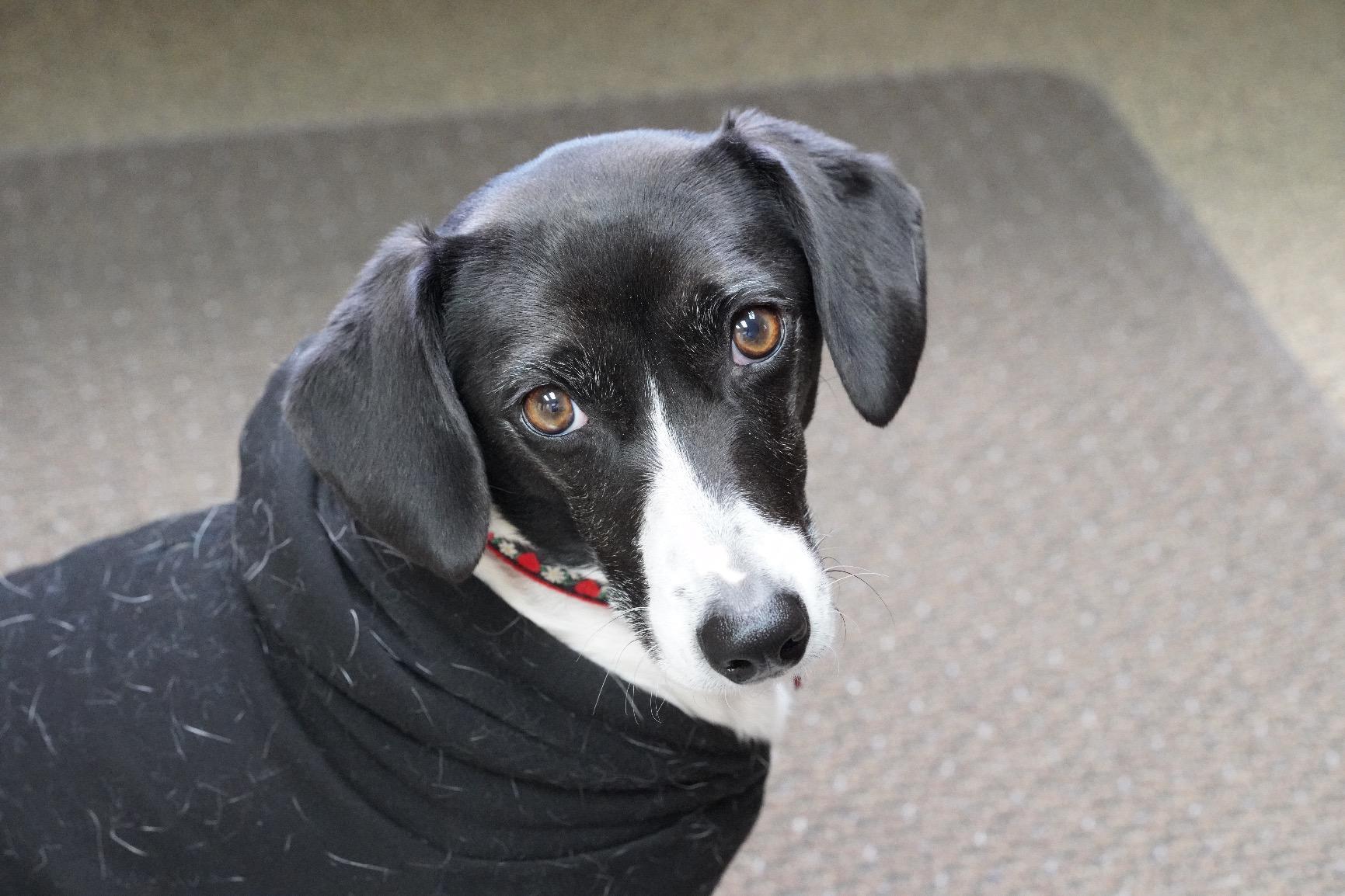 Considered the 7th best lens of all time.