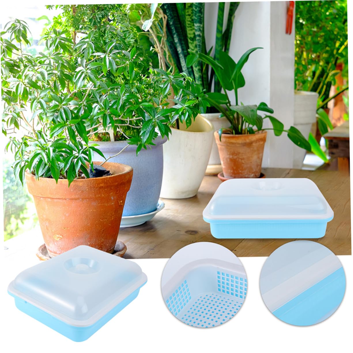 Toddmomy 2 Juegos Bandejas de Germinación para Plantas con Tapa de Accesorios de Jardinería para de Vegetales y Flores para de Huertos y Crecimiento Óptimo de Plantas